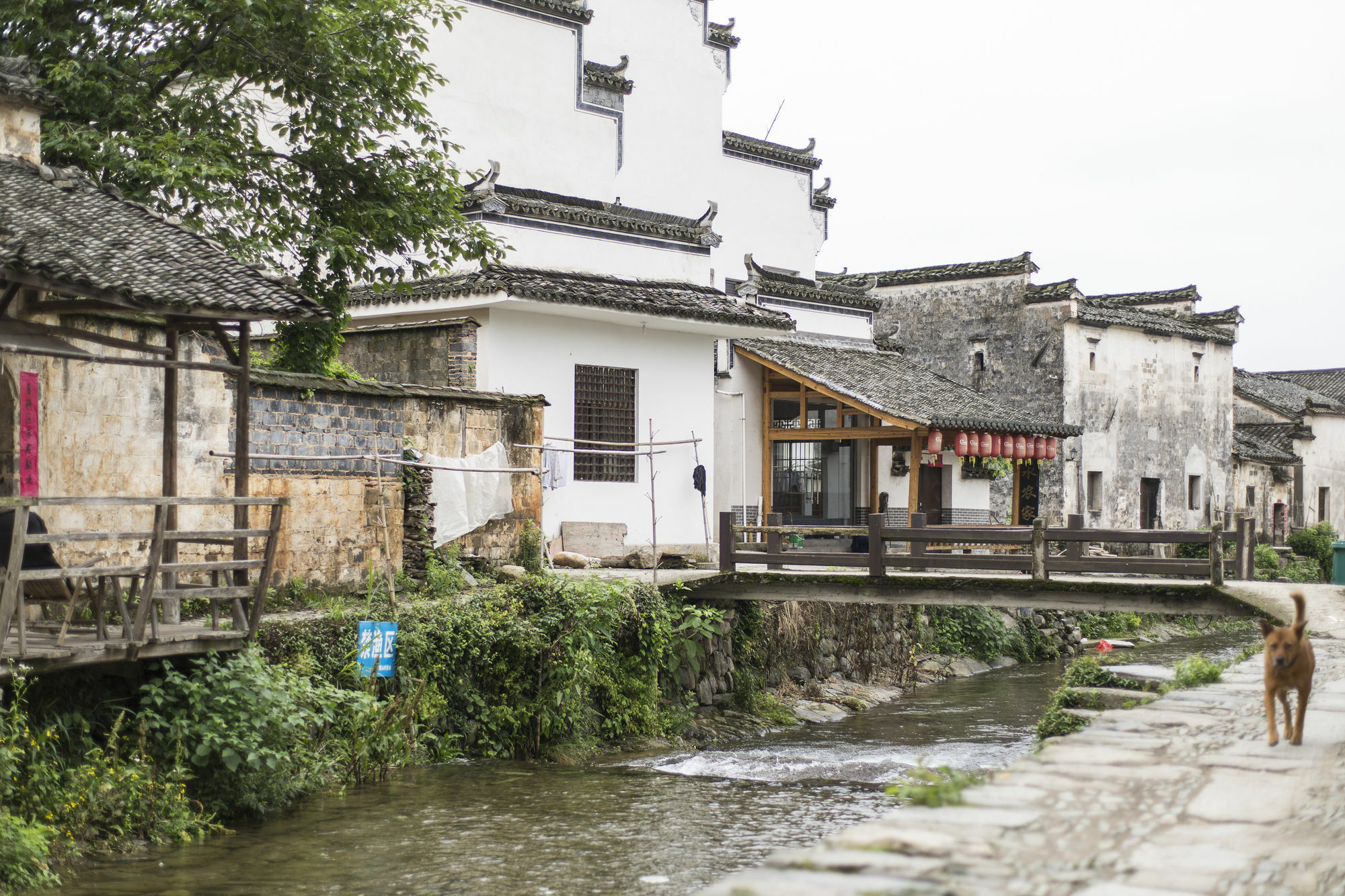 Banyan Tree Hotel Huangshan-The Ancient Charm Of Huizhou, A Paradise Ngoại thất bức ảnh