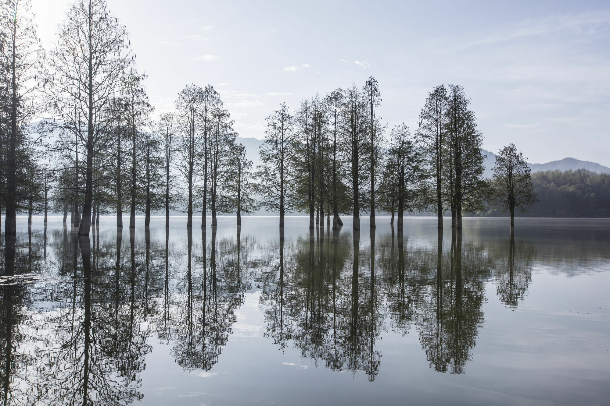 Banyan Tree Hotel Huangshan-The Ancient Charm Of Huizhou, A Paradise Ngoại thất bức ảnh